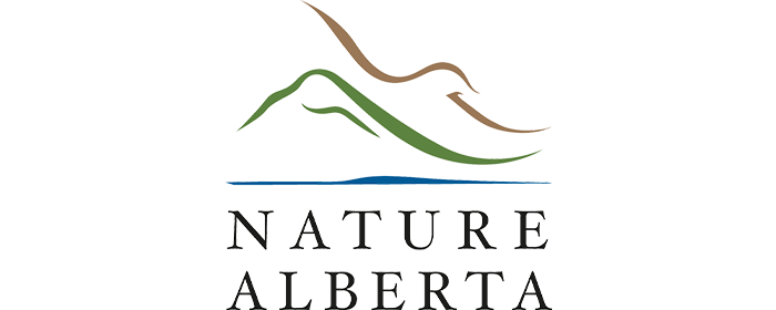 BCW_PartnerLogos_700x280_02