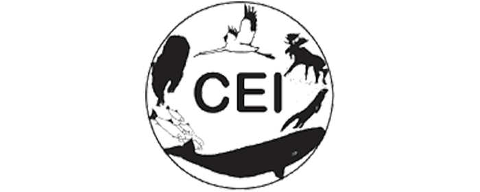 BCW_PartnerLogos_700x280_07